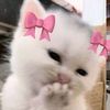 natnicha_2790