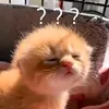 htmthuwng