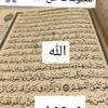 user4277054633075