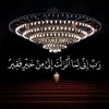 hamda.mohamed92