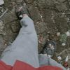 ahmad_29293