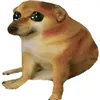 ditnhamvkbn5