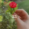 saroo_mj