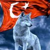 zaliminoglu5234