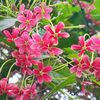 fahimakhan003