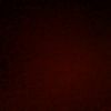 haiderali_2220