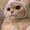 meoiiu01