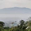 platd022