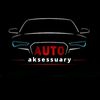 avto_acsessuary17