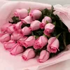 zenia1234