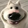 liuyang_1234