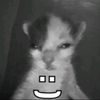 gw_normal_kok