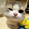 yunaactonaa
