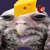 cheeseoowl