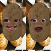 its_fins