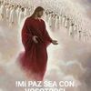 juancarlosmontoya95