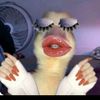 abcdefghiloveu.2527.com