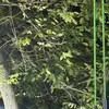 vsrbbve