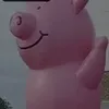pigzzsy