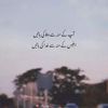 sardarmohammad818