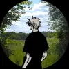 zdtm_