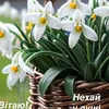 userllr78eyq6t