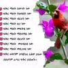 fkryashenfal79