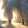 esed_huseyinov06