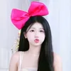 _iunn019