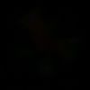 user2520663613127