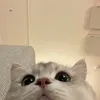 diunhibaby