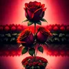 aariba_belmouz