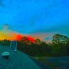 landon_62_