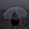 vx.nil05