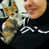 mimis.catlife
