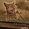 johnnybengalthe