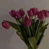 ailye26