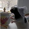 adorbsyaraa