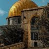 rakibmahmood79