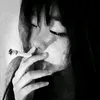 pvdd.ayuuh