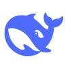 deepseek.official