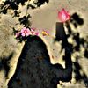 kim_raisha_11