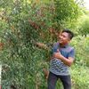 yogiprabowo463
