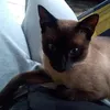 itskaarin