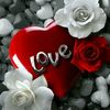 user517865095516