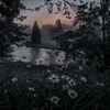 starlightm40
