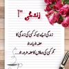 hamza.shah447