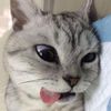 phtrxm_k7