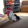 jordzlovesgod