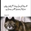 hina..waqas7